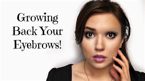 how to get your eyebrows back.